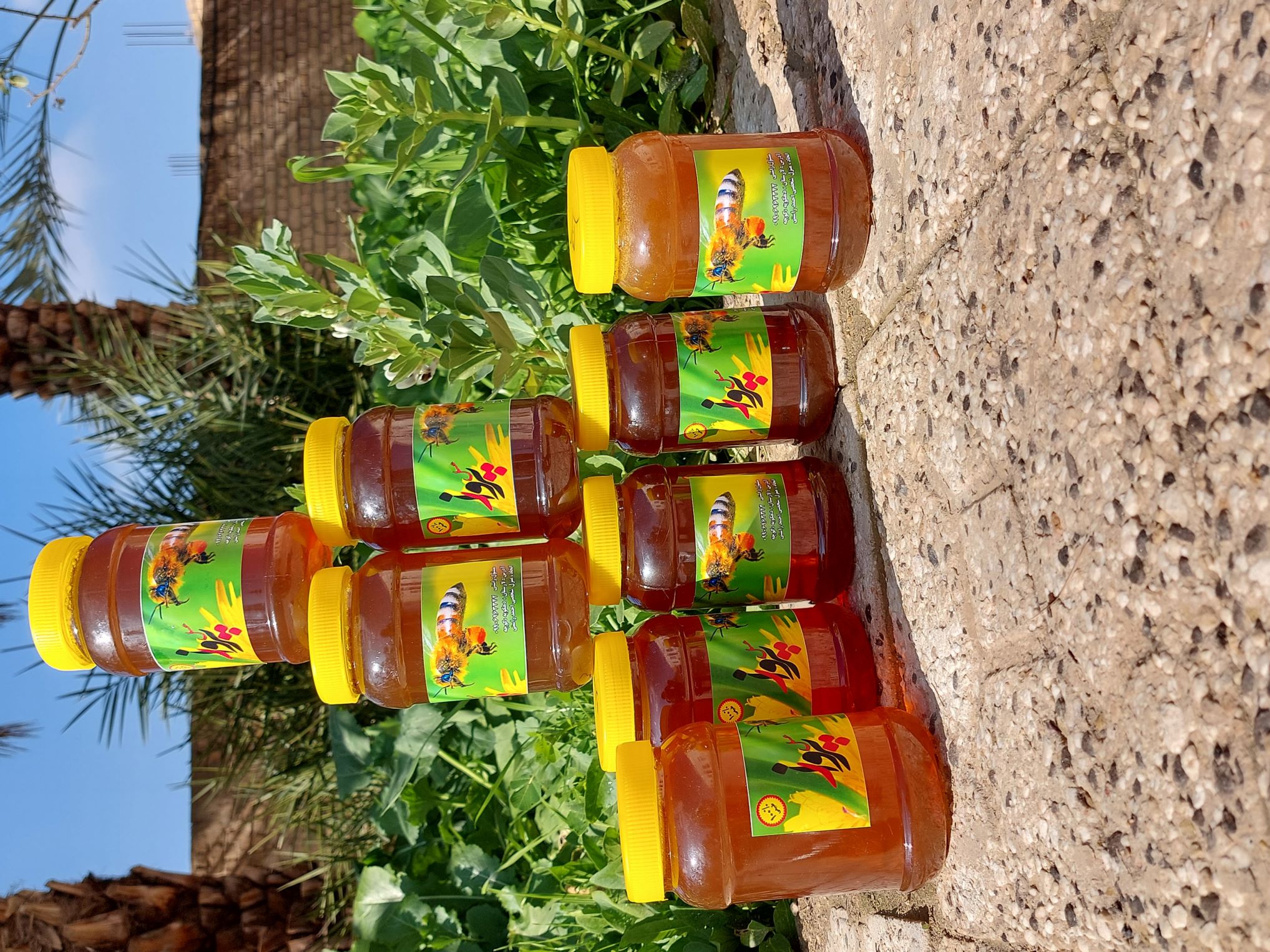 عسل ارگانیک